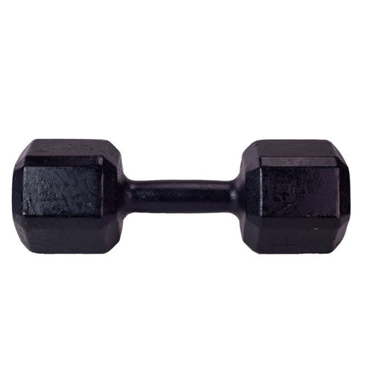 Halter Dumbbell Sextavado Pintado Academia Musculação Crossfit