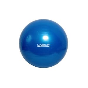 FITNESS BALL LIVE UP