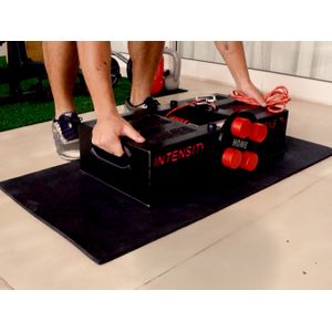 PLATAFORMA ISOINERCIAL HOME- HOME