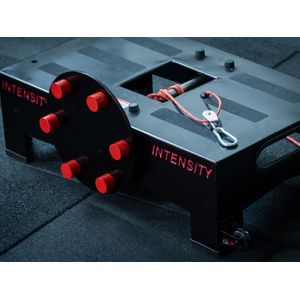 Carregue imagem no visualizador da galeriaPlataforma Isoinercial Plusae Plus Treino Excêntrico
